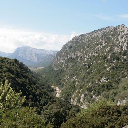 Cala Gonone - Nettuno Lägenhet Exteriör bild