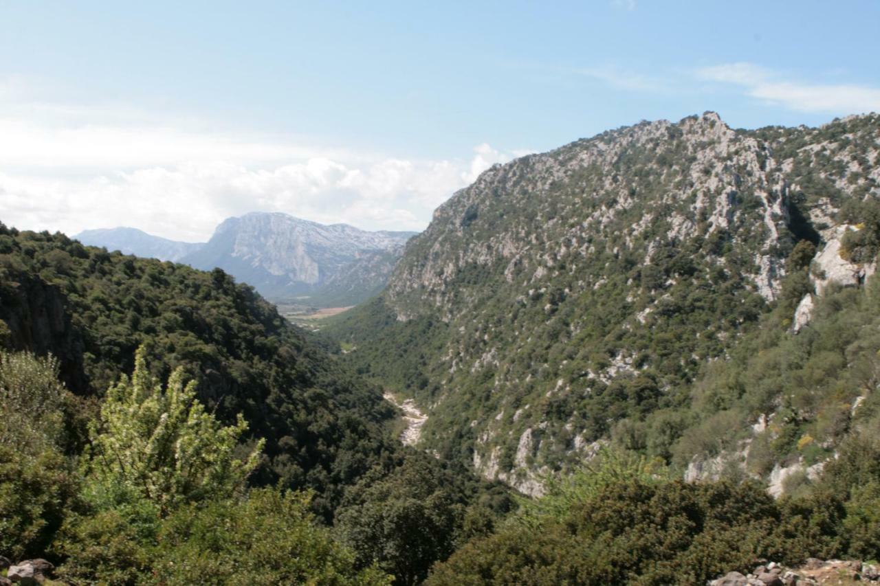 Cala Gonone - Nettuno Lägenhet Exteriör bild